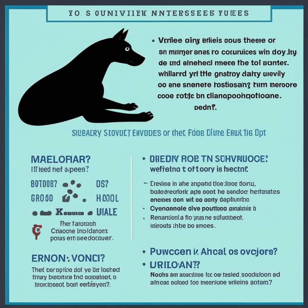 Работа ветеринаром Примеры вопросов на собеседовании