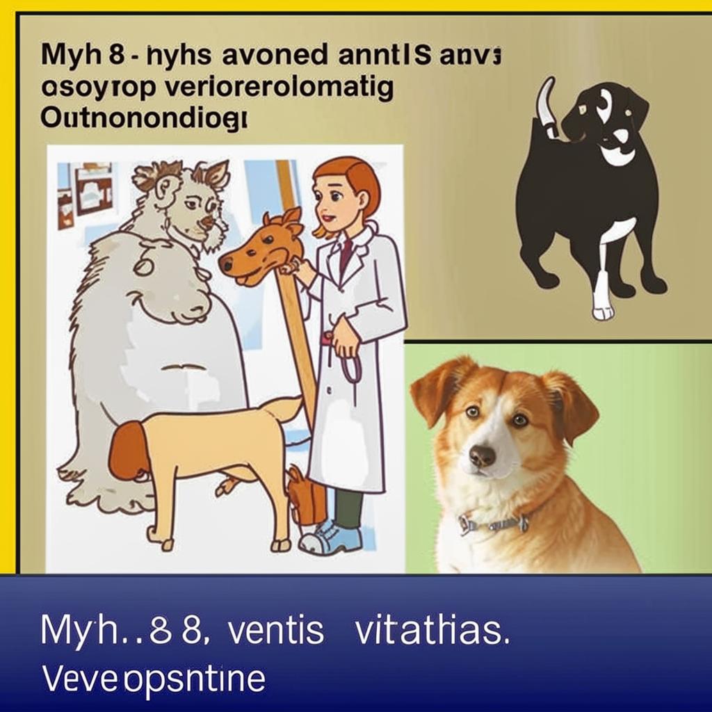 Мифы о ветеринарах: Развеиваем стереотипы Миф 8 Ветеринары всегда знают что делать