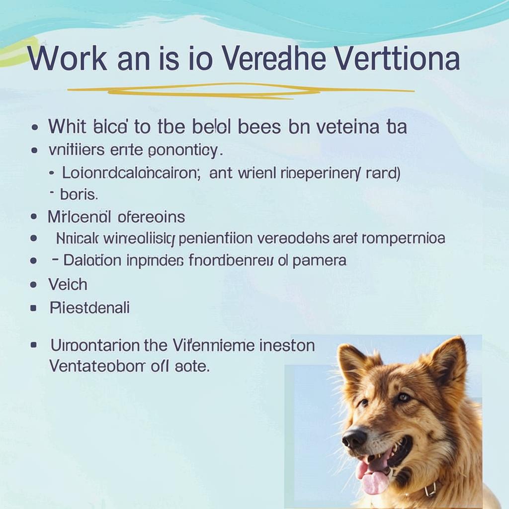 Работа ветеринаром Что нужно чтобы стать ветеринаром