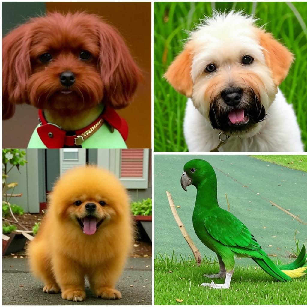 Канарский дог Основные моменты