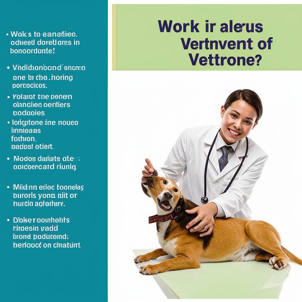 Работа ветеринаром Что еще важно знать