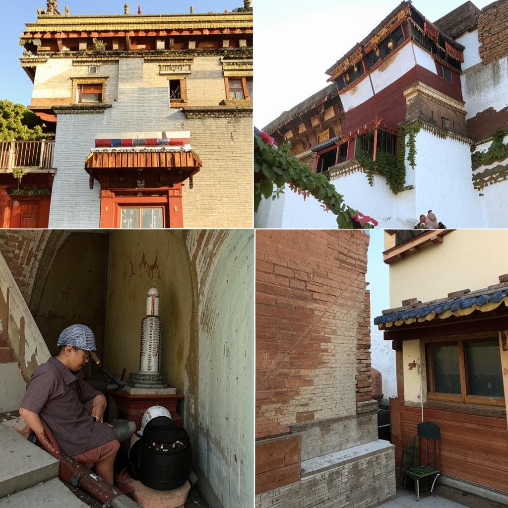 Лхаса Апсо Уход и содержание