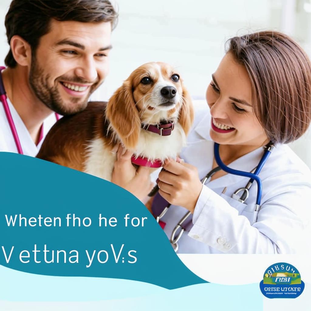 Ветеринар Отзывы Где Искать Отзывы о Ветеринарах