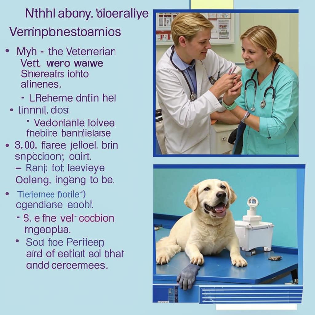 Мифы о ветеринарах: Развеиваем стереотипы Миф 8 Ветеринары всегда знают что делать